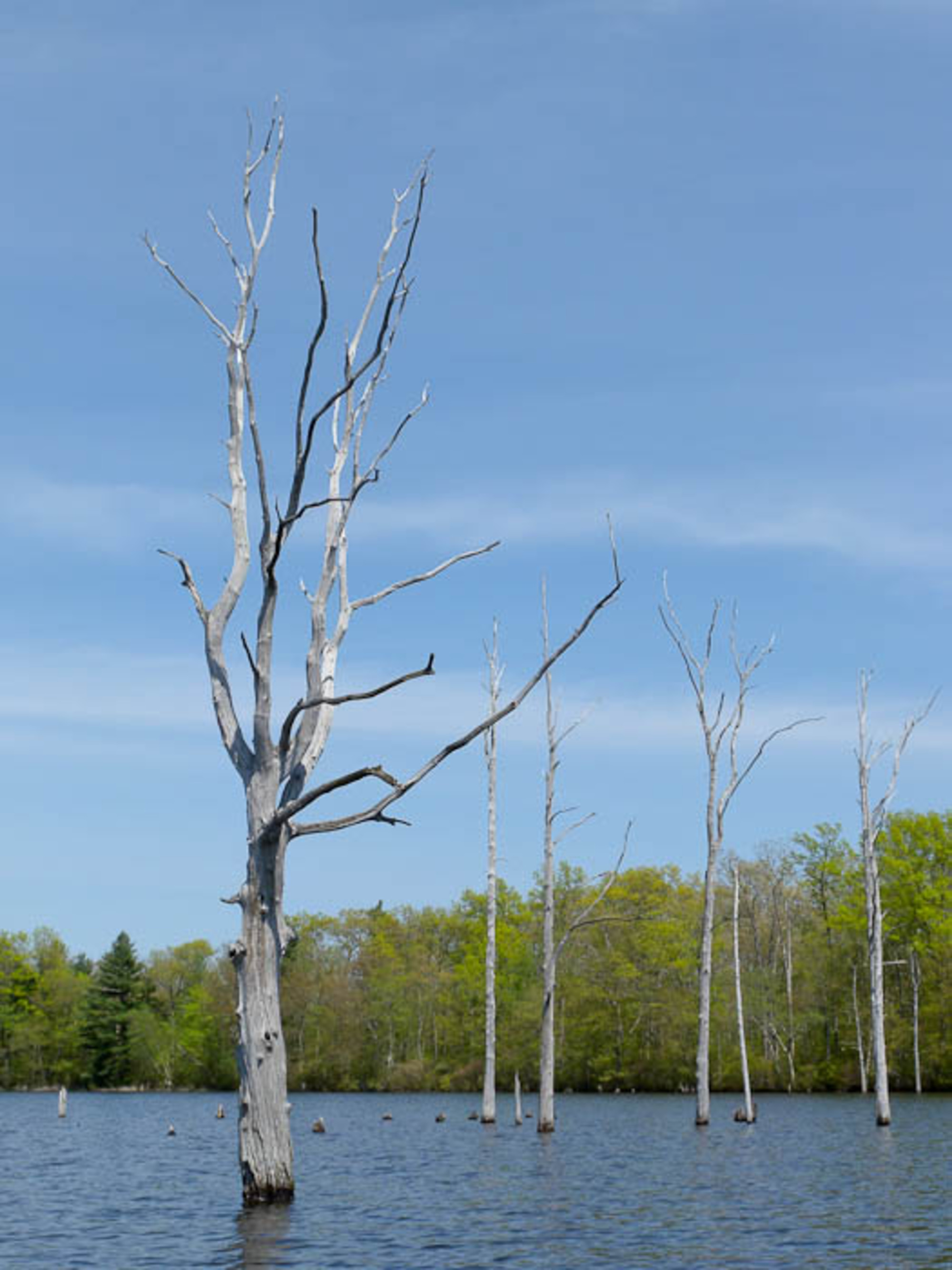 Moodus Reservoir in Moodus, CT Dan & Sherree & Patrick