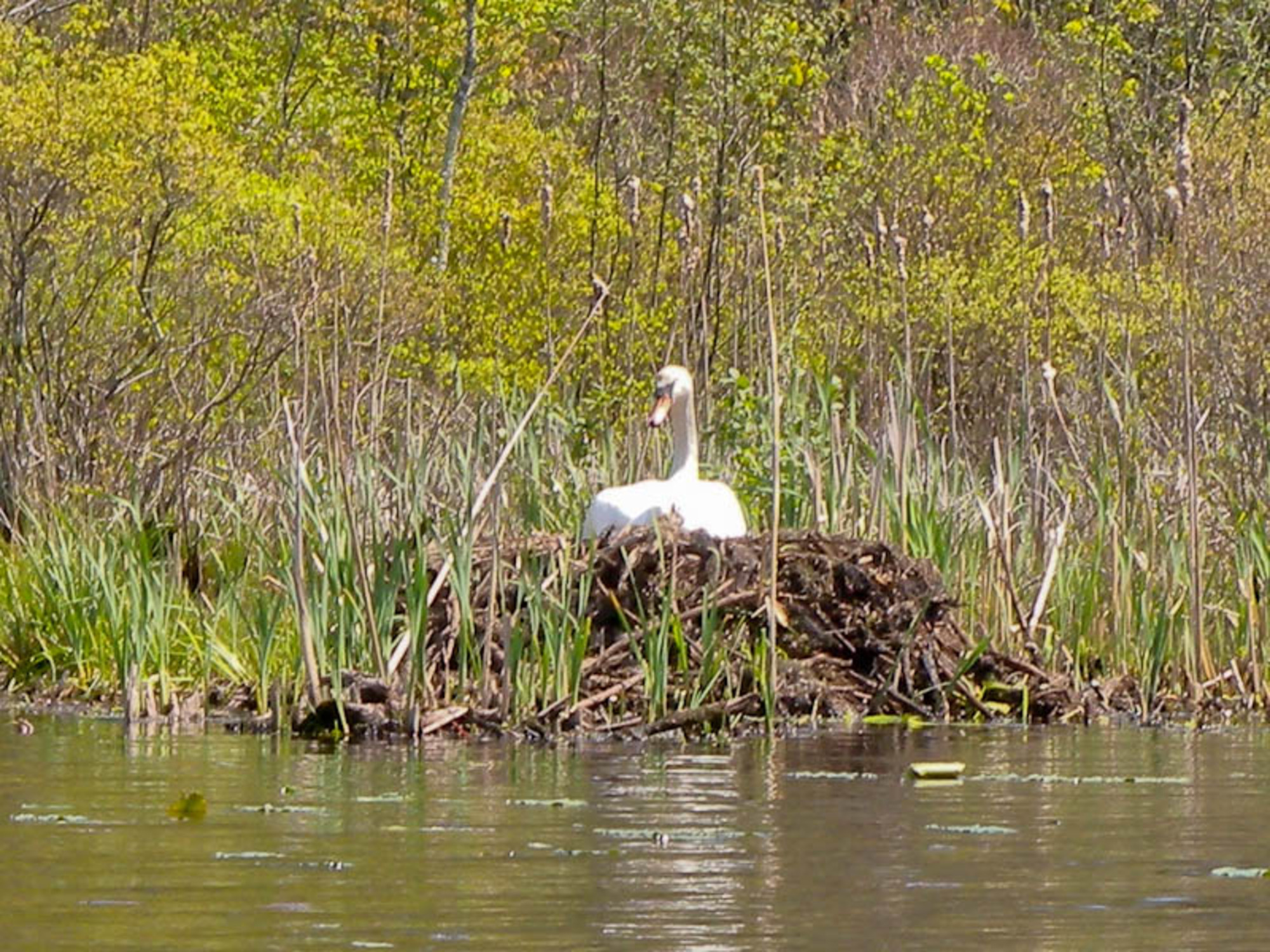 Moodus Reservoir in Moodus, CT Dan & Sherree & Patrick