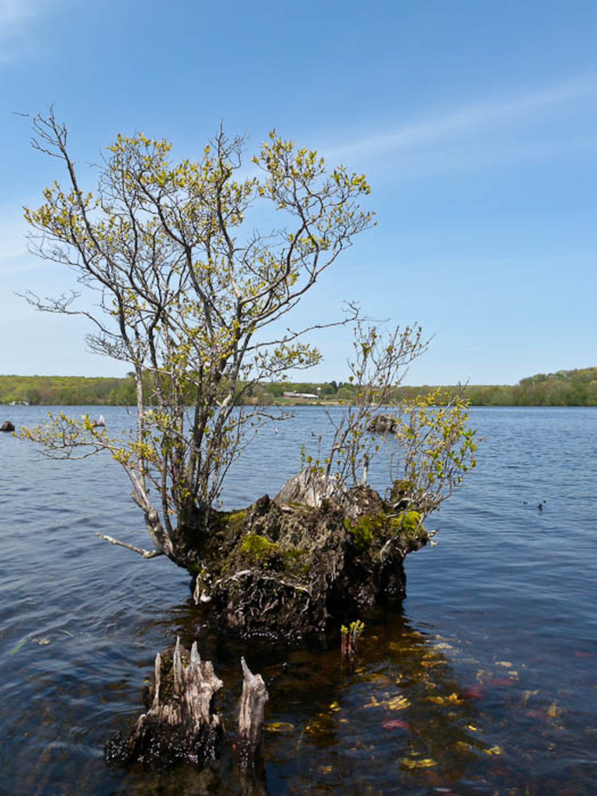 Moodus Reservoir in Moodus, CT Dan & Sherree & Patrick