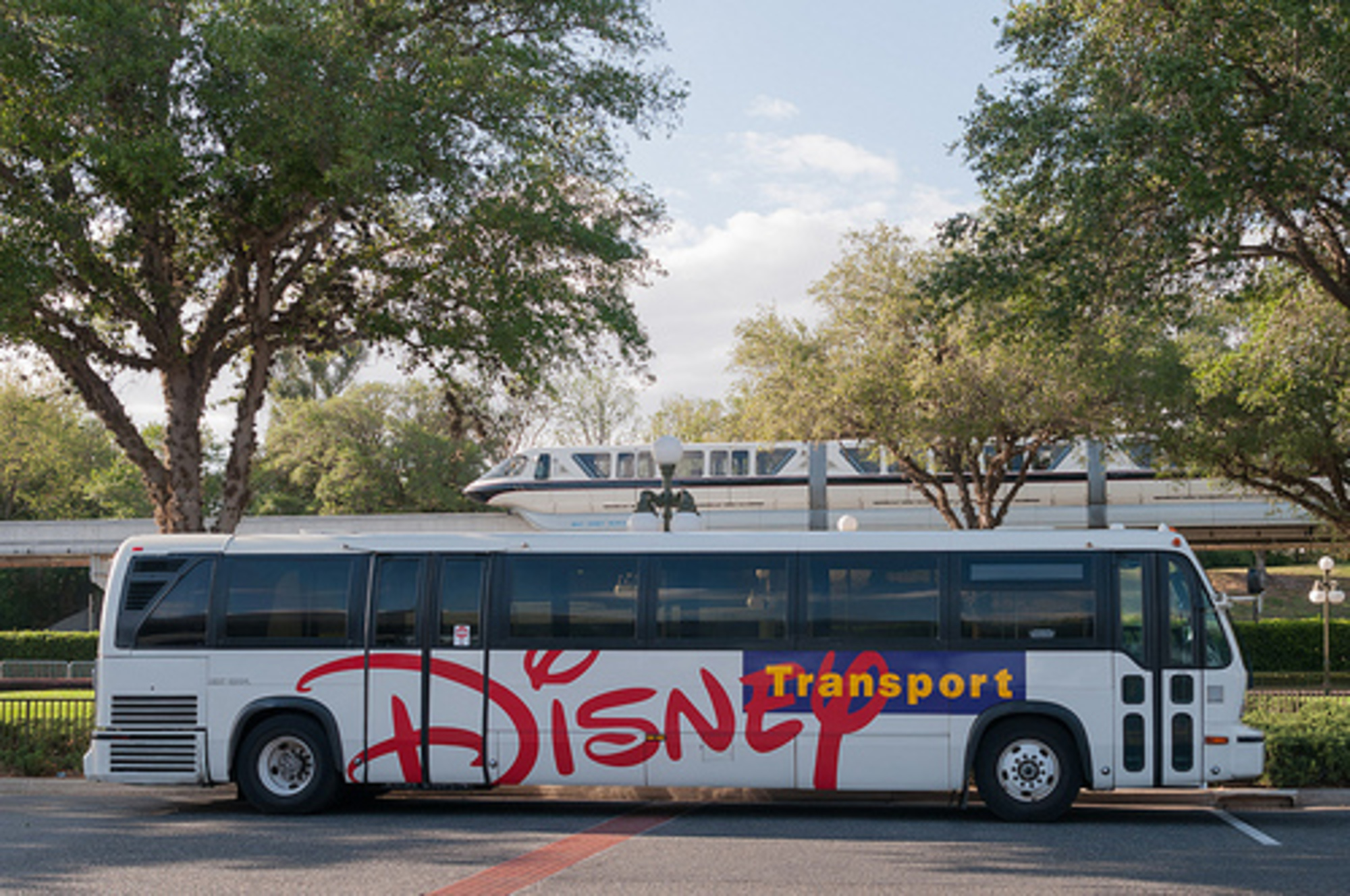 can you take a disney bus from magic kingdom to disney springs
