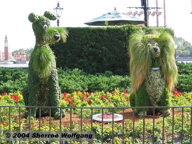 Lady and the Tramp hedges