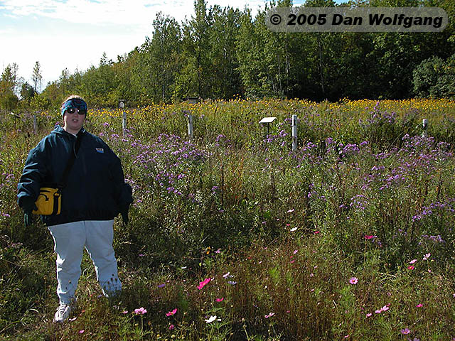 3 Wildflowers (and Sherree)