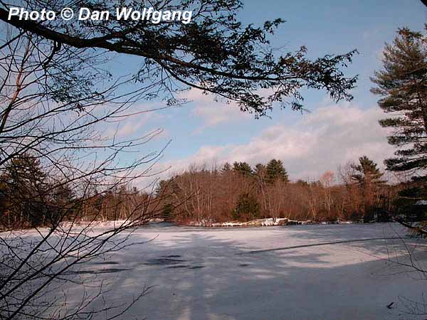 A field in winter