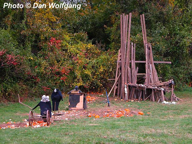 Pumpkin Destruction